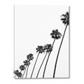 Picture of Cali Cathedrals IV _GroupedProduct_Rectangle_Portrait_Photography _GroupedProduct_Rectangle_Portrait_Canvas_