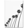 Picture of Cali Cathedrals IV _GroupedProduct_Rectangle_Portrait_Photography _GroupedProduct_Rectangle_Portrait_Canvas_