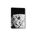 Picture of Moon Landing _GroupedProduct_Rectangle_Portrait_Photography _GroupedProduct_Rectangle_Portrait_Canvas_