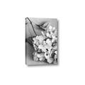 Picture of The Flowers He Gave _GroupedProduct_Rectangle_Portrait_Photography _GroupedProduct_Rectangle_Portrait_Canvas_