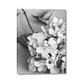Picture of The Flowers He Gave _GroupedProduct_Rectangle_Portrait_Photography _GroupedProduct_Rectangle_Portrait_Canvas_