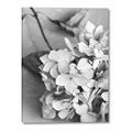Picture of The Flowers He Gave _GroupedProduct_Rectangle_Portrait_Photography _GroupedProduct_Rectangle_Portrait_Canvas_