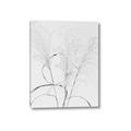 Picture of Whispering Mirage Dried Grass _GroupedProduct_Rectangle_Portrait_Photography _GroupedProduct_Rectangle_Portrait_Canvas_