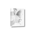 Picture of White Floral Hues _GroupedProduct_Rectangle_Portrait_Photography _GroupedProduct_Rectangle_Portrait_Canvas_