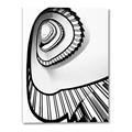 Picture of The Spiral _GroupedProduct_Rectangle_Portrait_Photography _GroupedProduct_Rectangle_Portrait_Canvas_