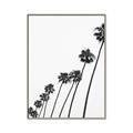 Picture of Cali Cathedrals IV _GroupedProduct_Rectangle_Portrait_Photography _GroupedProduct_Rectangle_Portrait_Canvas_Framed_
