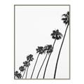 Picture of Cali Cathedrals IV _GroupedProduct_Rectangle_Portrait_Photography _GroupedProduct_Rectangle_Portrait_Canvas_Framed_