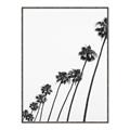 Picture of Cali Cathedrals IV _GroupedProduct_Rectangle_Portrait_Photography _GroupedProduct_Rectangle_Portrait_Canvas_Framed_