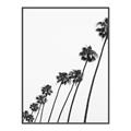 Picture of Cali Cathedrals IV _GroupedProduct_Rectangle_Portrait_Photography _GroupedProduct_Rectangle_Portrait_Canvas_Framed_