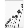 Picture of Cali Cathedrals IV _GroupedProduct_Rectangle_Portrait_Photography _GroupedProduct_Rectangle_Portrait_Canvas_Framed_