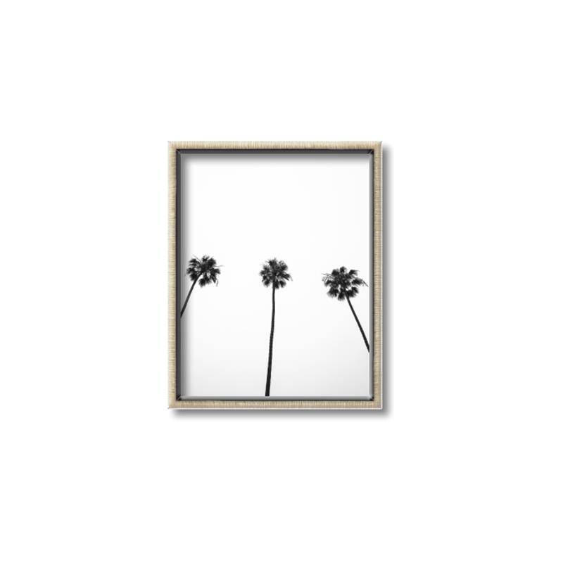 Picture of Cali Cathedrals III _GroupedProduct_Rectangle_Portrait_Photography _GroupedProduct_Rectangle_Portrait_Canvas_Framed_