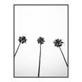 Picture of Cali Cathedrals III _GroupedProduct_Rectangle_Portrait_Photography _GroupedProduct_Rectangle_Portrait_Canvas_Framed_