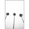Picture of Cali Cathedrals III _GroupedProduct_Rectangle_Portrait_Photography _GroupedProduct_Rectangle_Portrait_Canvas_Framed_