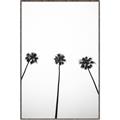 Picture of Cali Cathedrals III _GroupedProduct_Rectangle_Portrait_Photography _GroupedProduct_Rectangle_Portrait_Canvas_Framed_
