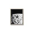 Picture of Moon Landing _GroupedProduct_Rectangle_Portrait_Photography _GroupedProduct_Rectangle_Portrait_Canvas_Framed_