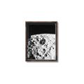 Picture of Moon Landing _GroupedProduct_Rectangle_Portrait_Photography _GroupedProduct_Rectangle_Portrait_Canvas_Framed_