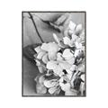Picture of The Flowers He Gave _GroupedProduct_Rectangle_Portrait_Photography _GroupedProduct_Rectangle_Portrait_Canvas_Framed_