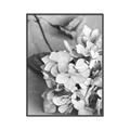 Picture of The Flowers He Gave _GroupedProduct_Rectangle_Portrait_Photography _GroupedProduct_Rectangle_Portrait_Canvas_Framed_