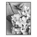 Picture of The Flowers He Gave _GroupedProduct_Rectangle_Portrait_Photography _GroupedProduct_Rectangle_Portrait_Canvas_Framed_