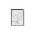 Picture of Whispering Mirage Dried Grass _GroupedProduct_Rectangle_Portrait_Photography _GroupedProduct_Rectangle_Portrait_Canvas_Framed_