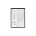 Picture of Whispering Mirage Dried Grass _GroupedProduct_Rectangle_Portrait_Photography _GroupedProduct_Rectangle_Portrait_Canvas_Framed_