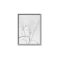 Picture of Whispering Mirage Dried Grass _GroupedProduct_Rectangle_Portrait_Photography _GroupedProduct_Rectangle_Portrait_Canvas_Framed_