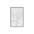 Picture of Whispering Mirage Dried Grass _GroupedProduct_Rectangle_Portrait_Photography _GroupedProduct_Rectangle_Portrait_Canvas_Framed_