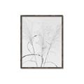 Picture of Whispering Mirage Dried Grass _GroupedProduct_Rectangle_Portrait_Photography _GroupedProduct_Rectangle_Portrait_Canvas_Framed_