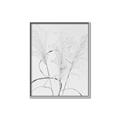 Picture of Whispering Mirage Dried Grass _GroupedProduct_Rectangle_Portrait_Photography _GroupedProduct_Rectangle_Portrait_Canvas_Framed_