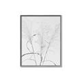Picture of Whispering Mirage Dried Grass _GroupedProduct_Rectangle_Portrait_Photography _GroupedProduct_Rectangle_Portrait_Canvas_Framed_