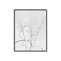 Picture of Whispering Mirage Dried Grass _GroupedProduct_Rectangle_Portrait_Photography _GroupedProduct_Rectangle_Portrait_Canvas_Framed_