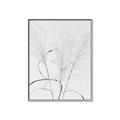 Picture of Whispering Mirage Dried Grass _GroupedProduct_Rectangle_Portrait_Photography _GroupedProduct_Rectangle_Portrait_Canvas_Framed_