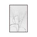 Picture of Whispering Mirage Dried Grass _GroupedProduct_Rectangle_Portrait_Photography _GroupedProduct_Rectangle_Portrait_Canvas_Framed_