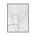 Picture of Whispering Mirage Dried Grass _GroupedProduct_Rectangle_Portrait_Photography _GroupedProduct_Rectangle_Portrait_Canvas_Framed_