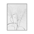 Picture of Whispering Mirage Dried Grass _GroupedProduct_Rectangle_Portrait_Photography _GroupedProduct_Rectangle_Portrait_Canvas_Framed_