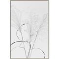 Picture of Whispering Mirage Dried Grass _GroupedProduct_Rectangle_Portrait_Photography _GroupedProduct_Rectangle_Portrait_Canvas_Framed_
