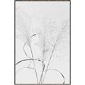 Picture of Whispering Mirage Dried Grass _GroupedProduct_Rectangle_Portrait_Photography _GroupedProduct_Rectangle_Portrait_Canvas_Framed_