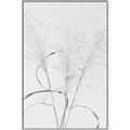 Picture of Whispering Mirage Dried Grass _GroupedProduct_Rectangle_Portrait_Photography _GroupedProduct_Rectangle_Portrait_Canvas_Framed_