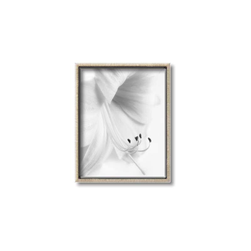 Picture of White Floral Hues _GroupedProduct_Rectangle_Portrait_Photography _GroupedProduct_Rectangle_Portrait_Canvas_Framed_