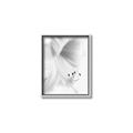 Picture of White Floral Hues _GroupedProduct_Rectangle_Portrait_Photography _GroupedProduct_Rectangle_Portrait_Canvas_Framed_