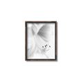 Picture of White Floral Hues _GroupedProduct_Rectangle_Portrait_Photography _GroupedProduct_Rectangle_Portrait_Canvas_Framed_