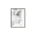 Picture of White Floral Hues _GroupedProduct_Rectangle_Portrait_Photography _GroupedProduct_Rectangle_Portrait_Canvas_Framed_