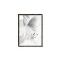 Picture of White Floral Hues _GroupedProduct_Rectangle_Portrait_Photography _GroupedProduct_Rectangle_Portrait_Canvas_Framed_
