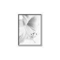 Picture of White Floral Hues _GroupedProduct_Rectangle_Portrait_Photography _GroupedProduct_Rectangle_Portrait_Canvas_Framed_