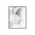 Picture of White Floral Hues _GroupedProduct_Rectangle_Portrait_Photography _GroupedProduct_Rectangle_Portrait_Canvas_Framed_