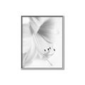 Picture of White Floral Hues _GroupedProduct_Rectangle_Portrait_Photography _GroupedProduct_Rectangle_Portrait_Canvas_Framed_