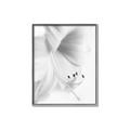 Picture of White Floral Hues _GroupedProduct_Rectangle_Portrait_Photography _GroupedProduct_Rectangle_Portrait_Canvas_Framed_