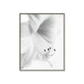 Picture of White Floral Hues _GroupedProduct_Rectangle_Portrait_Photography _GroupedProduct_Rectangle_Portrait_Canvas_Framed_
