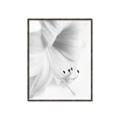 Picture of White Floral Hues _GroupedProduct_Rectangle_Portrait_Photography _GroupedProduct_Rectangle_Portrait_Canvas_Framed_