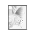 Picture of White Floral Hues _GroupedProduct_Rectangle_Portrait_Photography _GroupedProduct_Rectangle_Portrait_Canvas_Framed_